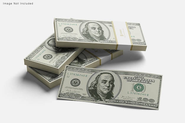 PSD maqueta de dinero en efectivo