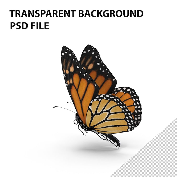 PSD mariposa monarca de la png