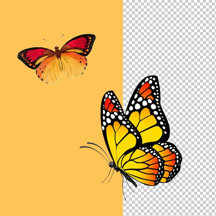 PSD mariposas vibrantes, una volando y otra como elemento de diseño transparente