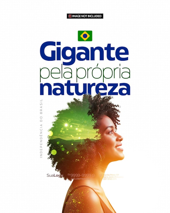 PSD mídia social independência do brasil 7 de setembro