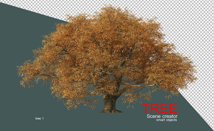 PSD molti grandi alberi nella foresta