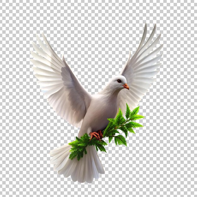 PSD oiseau colombe