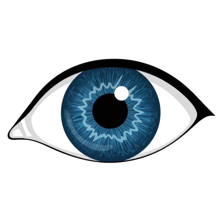 PSD ojo humano ilustrado