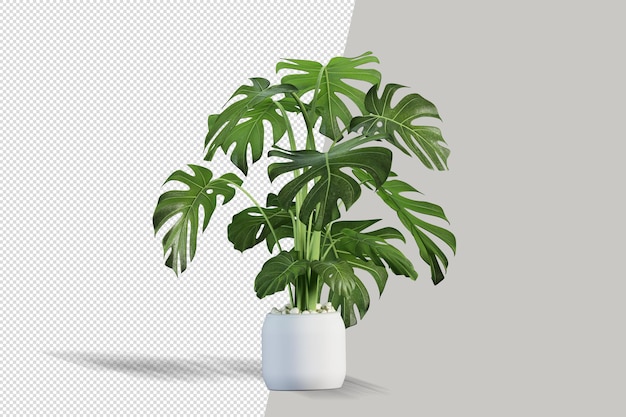 PSD planta en renderizado 3d