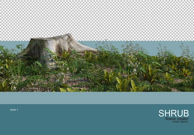 PSD la planta