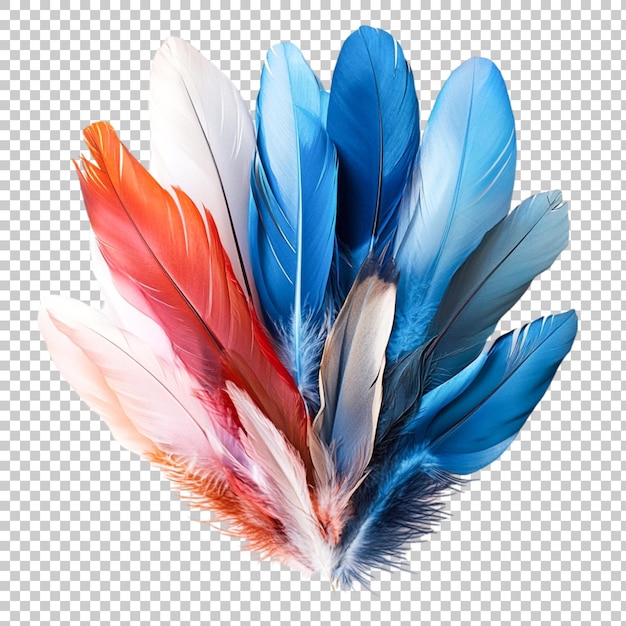 PSD plumas de colores