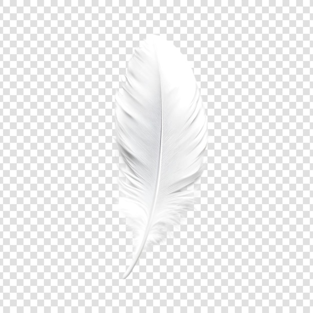 PSD plume blanche sur fond transparent