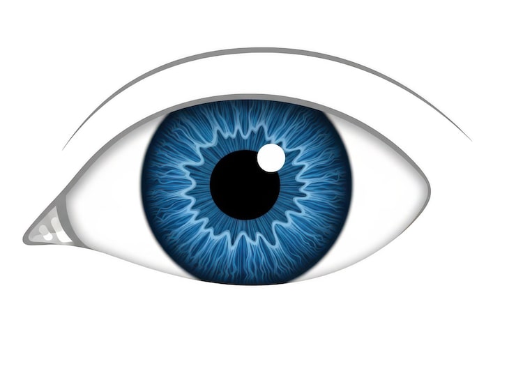 PSD primer plano de un ojo humano