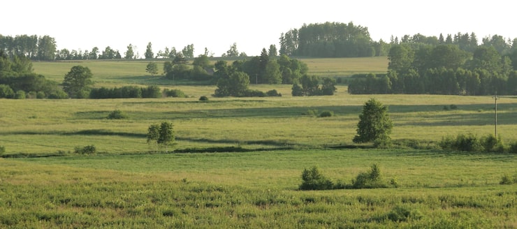 PSD přírodní krajiny stromů a parků s otevřenými loukami a venkovskými výhledy