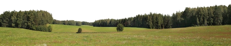 PSD přírodní krajiny stromů a parků s otevřenými loukami a venkovskými výhledy