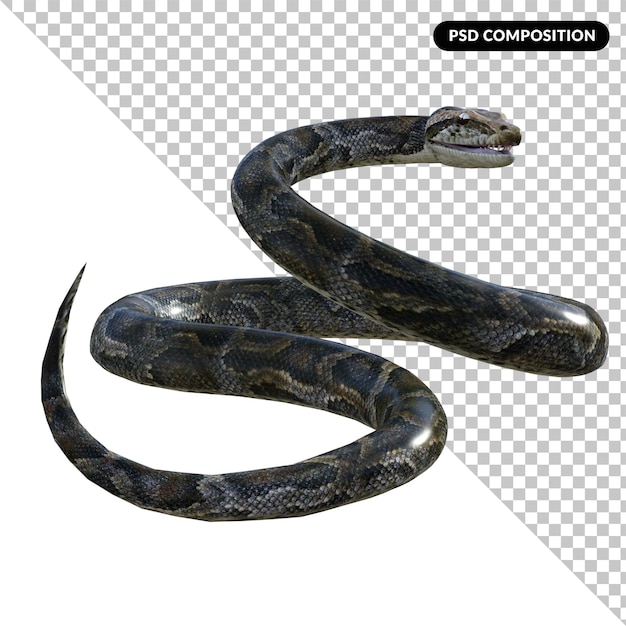 PSD render 3d ular piton terisolasi