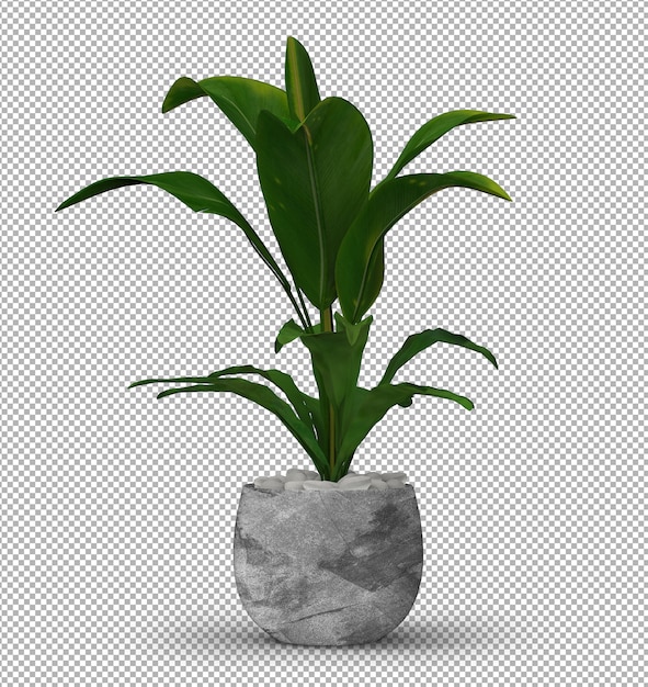 PSD render de planta isolada