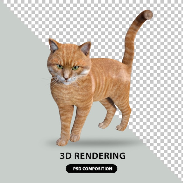 PSD rendering 3d kucing lucu