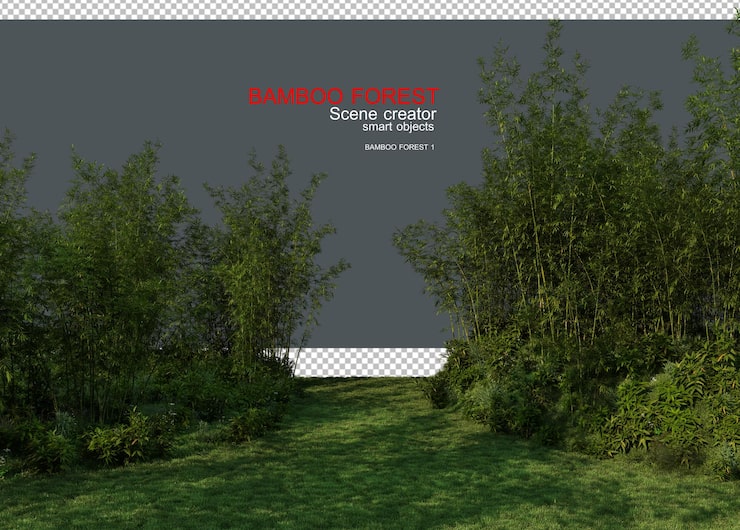 PSD renderizado en 3d del bosque y el prado de bambú