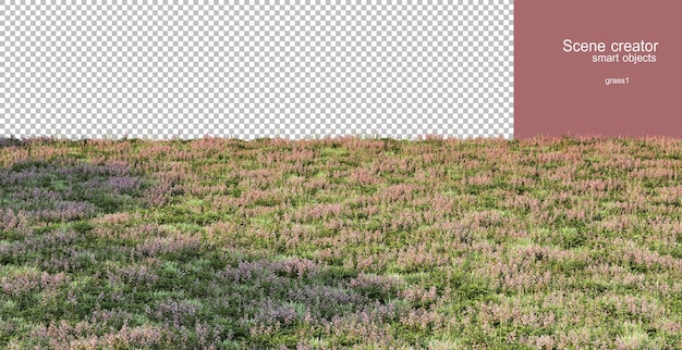 PSD representación 3d de varios pastos