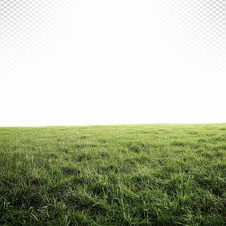 PSD sebuah ladang rumput hijau
