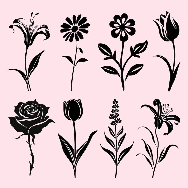 PSD une silhouette florale élégante