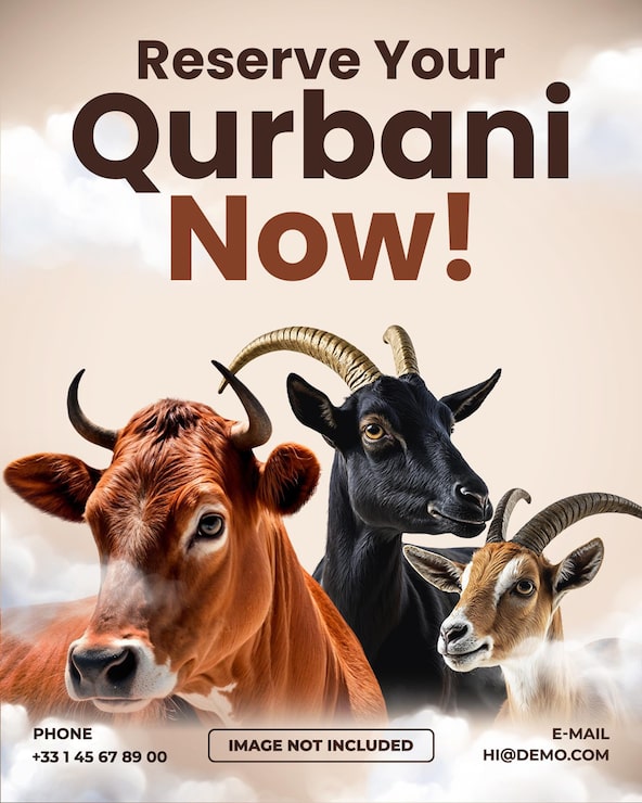 PSD template postingan media sosial penjualan sapi kambing qurbani idul adha