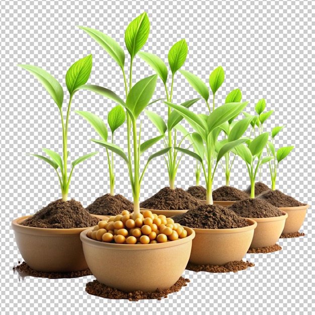 PSD un thème 3d
