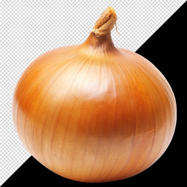 PSD uma cebola com fundo preto e fundo branco