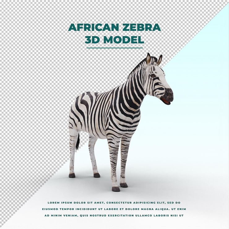 PSD zebra africana isolada