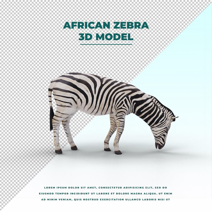 PSD zebra africana isolada