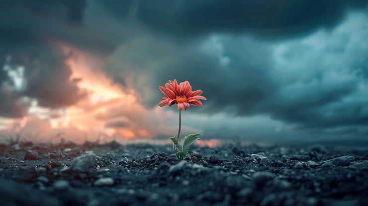 Ücretsiz Fotoğraf topraktan filizlenen bitki