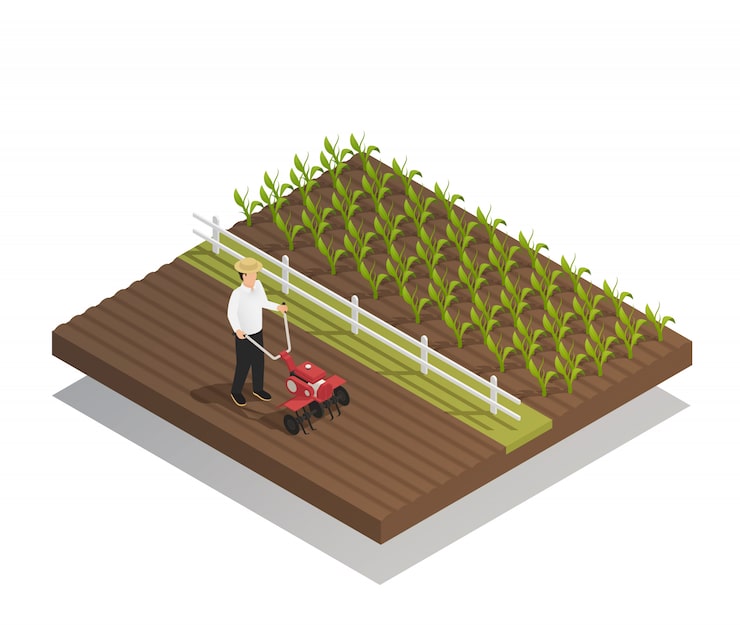Vecteur gratuit agriculture jardinage composition de l'équipement agricole