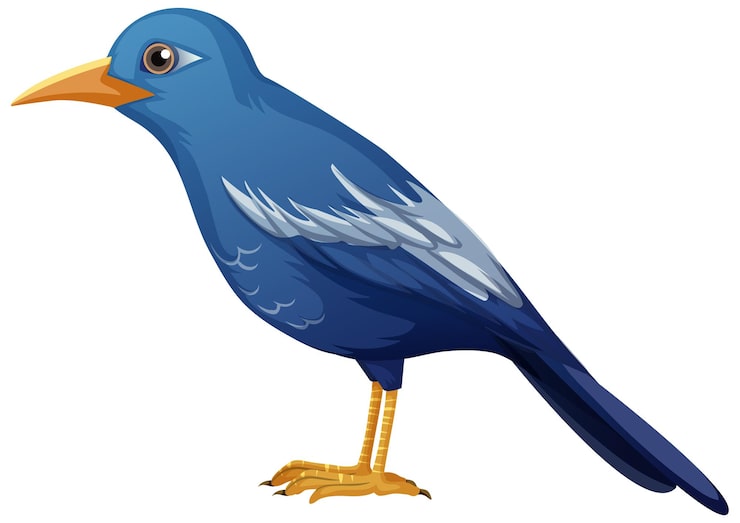 Vecteur gratuit animal oiseau bleu sur fond blanc