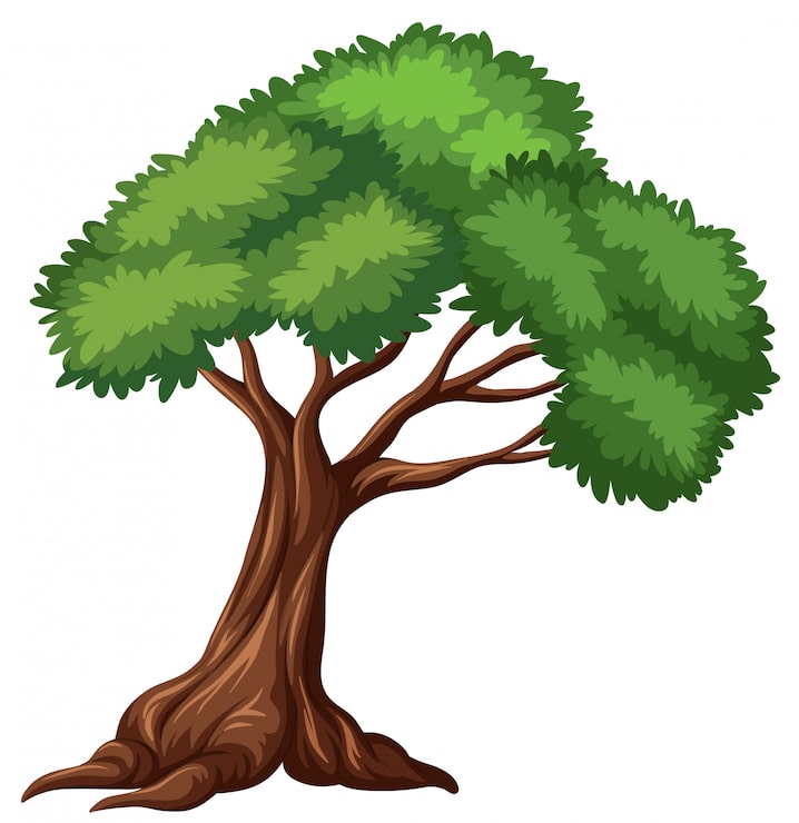 Vecteur gratuit arbre isolé sur fond blanc