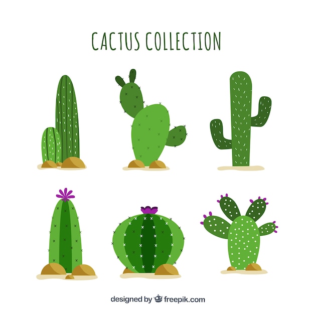 Vecteur gratuit cactus plat avec style drôle