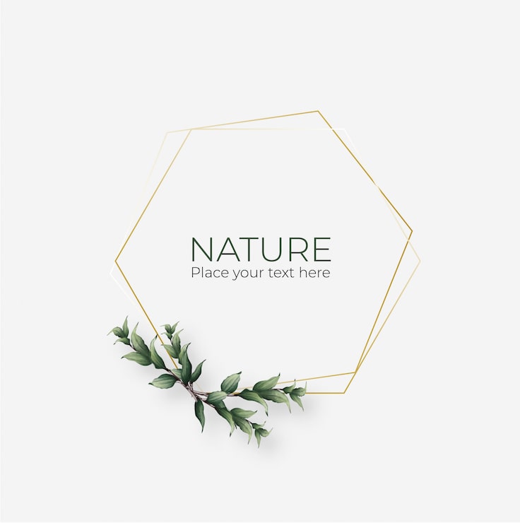 Vecteur gratuit cadre naturel avec cadre géométrique doré
