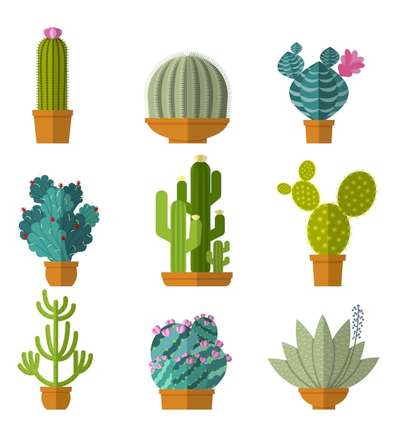 Vecteur gratuit collection de cactus dans un style plat.