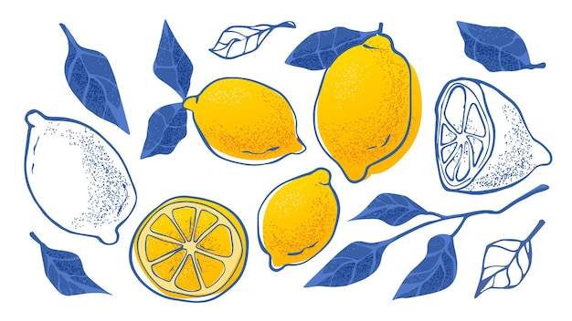Vecteur gratuit collection de citrons d'amalfi