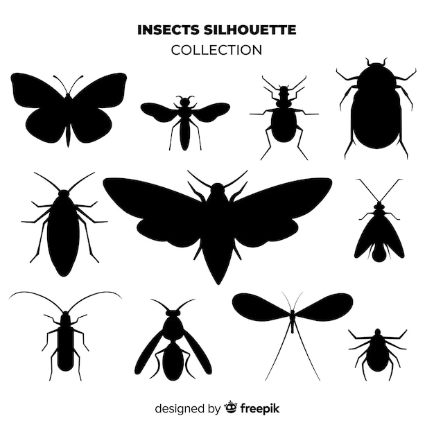 Vecteur gratuit collection de silhouette d'insecte