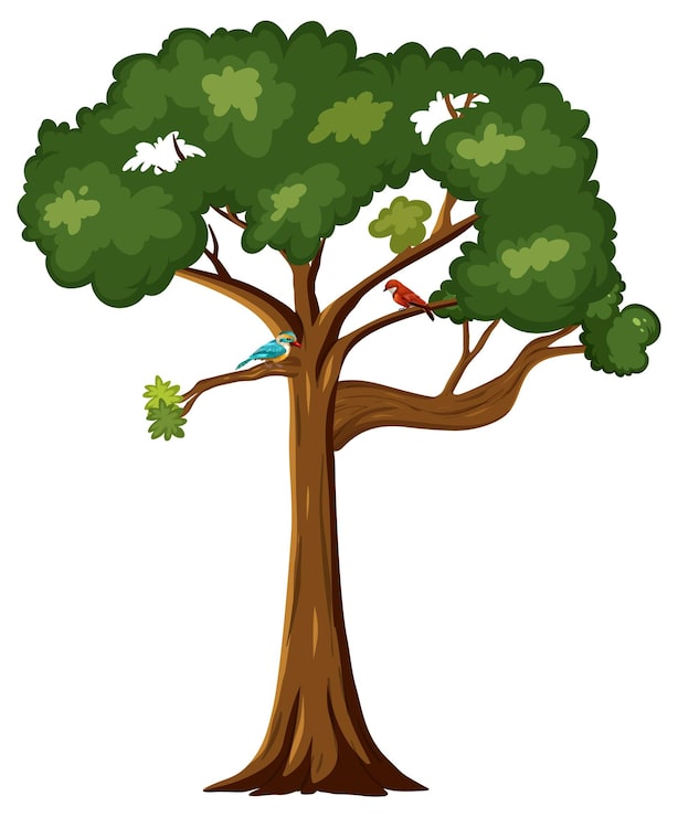 Vecteur gratuit deux oiseaux sur un grand arbre