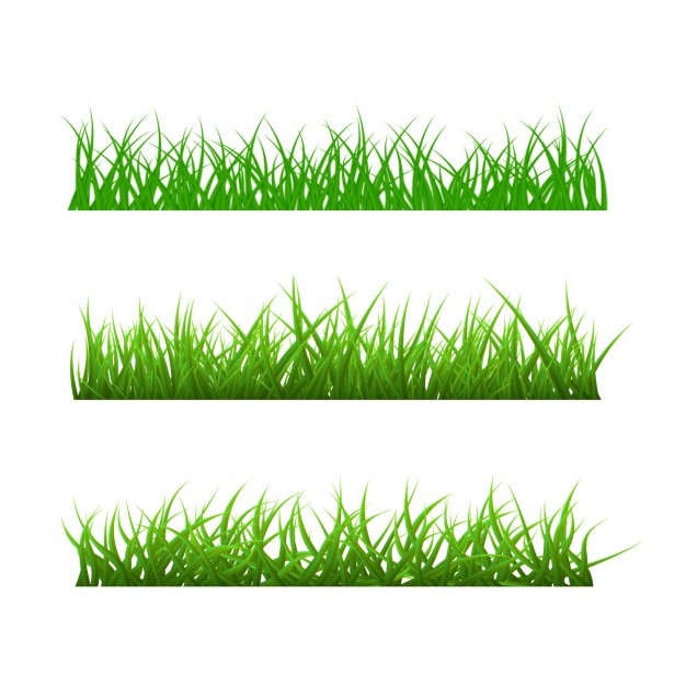 Vecteur gratuit différents types d'herbe