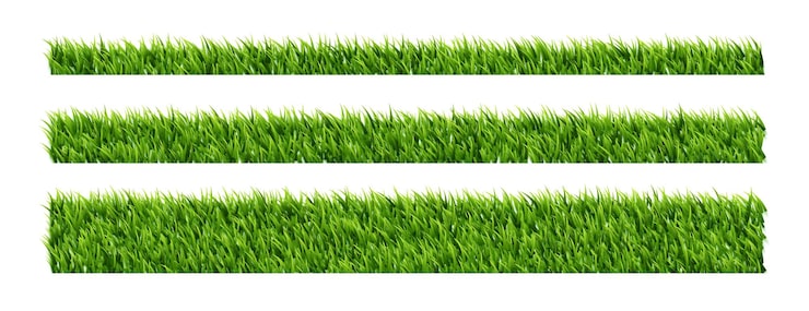 Vecteur gratuit élément de bordure d'herbe verte luxuriante écologique en lot de trois