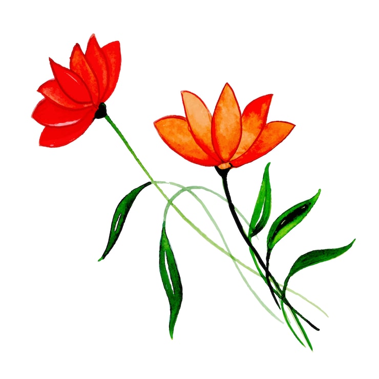 Vecteur gratuit élément floral aquarelle