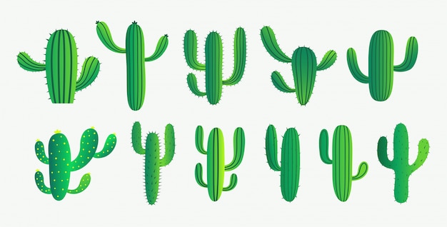Vecteur gratuit ensemble de cactus vert et de plantes succulentes