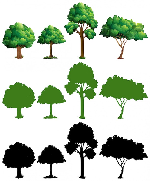 Vecteur gratuit ensemble de conception d'arbre