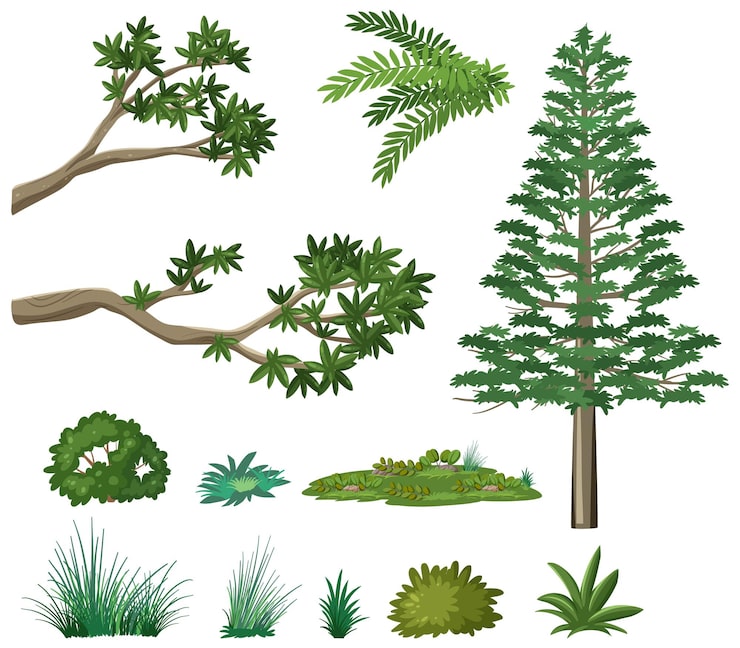 Vecteur gratuit ensemble d'éléments de la forêt naturelle