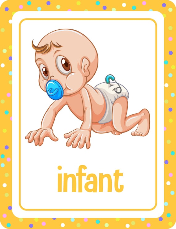 Vecteur gratuit flashcard de vocabulaire avec le mot infant