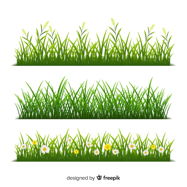 Vecteur gratuit frontière de l'herbe de style réaliste