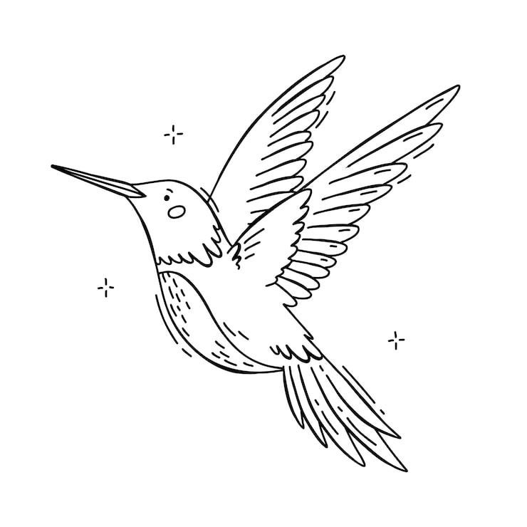 Vecteur gratuit illustration de contour de colibri dessiné à la main