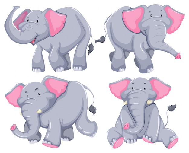 Vecteur gratuit quatre éléphants dans différentes poses