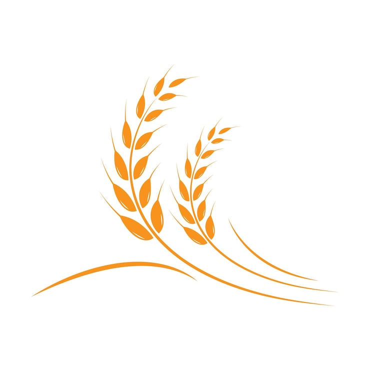Vecteur agriculture blé logo modèle de conception d'icônes vectorielles