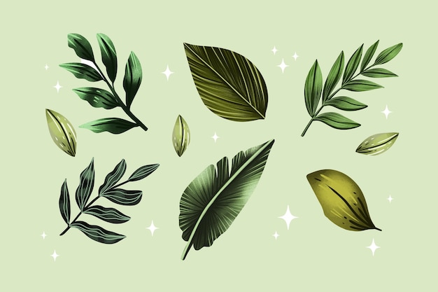 Ensemble de conception de feuilles d'aquarelle