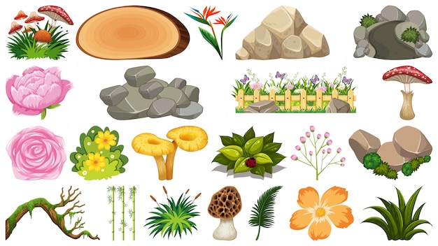 Vecteur ensemble d'éléments de la nature