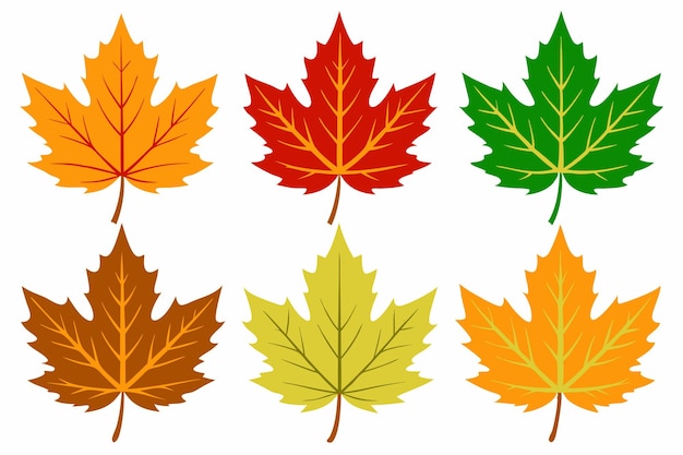 Vecteur un ensemble de feuilles de différentes couleurs de différentes couleurs